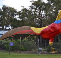 Gumbuya Park - Northern Rivers Accommodation