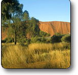 Uluru - Kata Tjuta National Park - Northern Rivers Accommodation