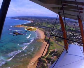 Tiger Moth World Adventure Park - Northern Rivers Accommodation 1