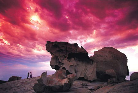 Kangaroo Island Adventure Tour 2 Day/1 Night - Northern Rivers Accommodation 0