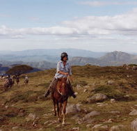 High Country Horses - Northern Rivers Accommodation