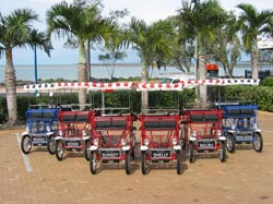 Beach Safaris - Northern Rivers Accommodation 1