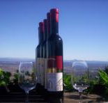 Mount Tamborine Winery  Homestead - Northern Rivers Accommodation