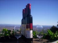 Mount Tamborine Winery & Homestead - Northern Rivers Accommodation 0