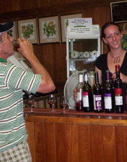 Mount Tamborine Winery & Homestead - Northern Rivers Accommodation 2
