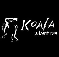 Koala Adventures - Northern Rivers Accommodation