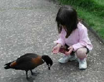 Urimbirra Wildlife Park - Northern Rivers Accommodation 3