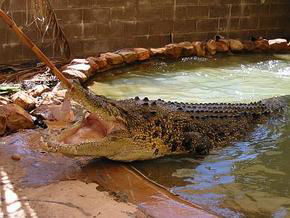 North West NSW Northern Rivers Accommodation