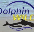Dolphin Wild - Northern Rivers Accommodation