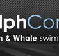 Dolphcom - Dolphin  Whale Swimming Adventures - Northern Rivers Accommodation