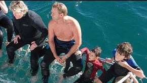 Dolphcom - Dolphin & Whale Swimming Adventures - Northern Rivers Accommodation 2