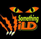 Something Wild - Northern Rivers Accommodation