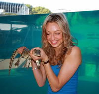 Crocosaurus Cove - Northern Rivers Accommodation