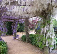 Abingdon Miniature Village - Northern Rivers Accommodation