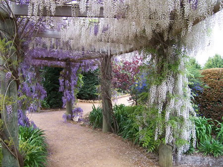 Abingdon Miniature Village - Northern Rivers Accommodation 0