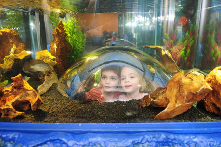 Scitech - Northern Rivers Accommodation 3