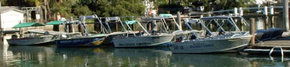 Brooklyn Central Boat Hire & General Store - Northern Rivers Accommodation 1