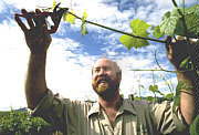 Barossa Experience Tours - Northern Rivers Accommodation 0