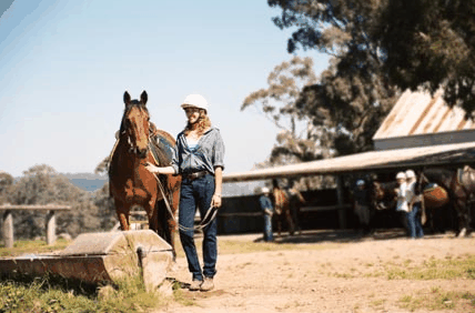 Watsons Trail Rides - Northern Rivers Accommodation