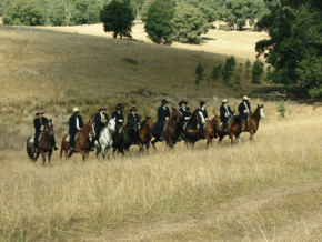 McCormacks Mountain Valley Trail Rides - Northern Rivers Accommodation
