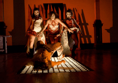 Zen Zen Zo Physical Theatre - Northern Rivers Accommodation 1