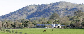 Blue Gum Farm - Northern Rivers Accommodation 1