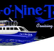 Cat O' NineTails - Northern Rivers Accommodation