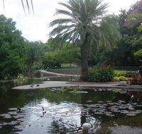 Brisbane City Botanic Gardens - Northern Rivers Accommodation