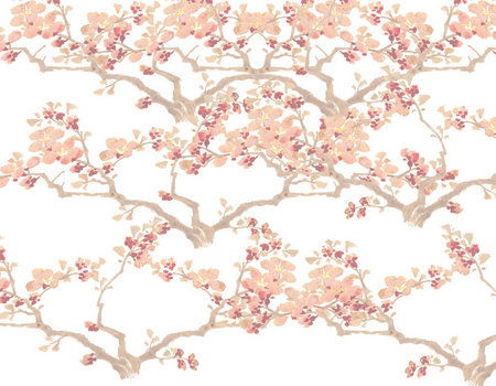 Zen Day Spa - Northern Rivers Accommodation 3