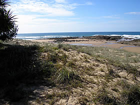 Deepwater National Park - Northern Rivers Accommodation 0