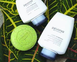 AQueous Spa - Northern Rivers Accommodation 1