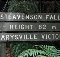 Stevensons Falls - Northern Rivers Accommodation