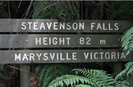 Stevensons Falls - Northern Rivers Accommodation 0