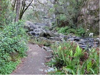 Stevensons Falls - Northern Rivers Accommodation 1