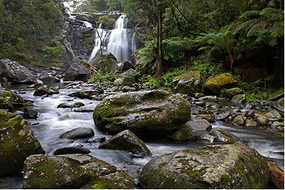 Stevensons Falls - Northern Rivers Accommodation 2