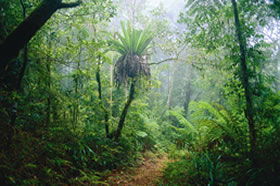 Boyland QLD Northern Rivers Accommodation