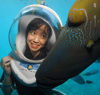 Sunlover Reef Cruises - Northern Rivers Accommodation