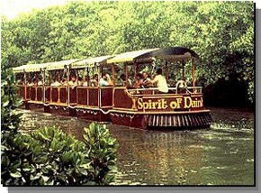 Daintree Rainforest River Trains - Northern Rivers Accommodation 0