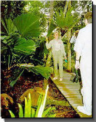 Daintree Rainforest River Trains - Northern Rivers Accommodation 1