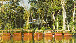 Daintree Rainforest River Trains - Northern Rivers Accommodation 3
