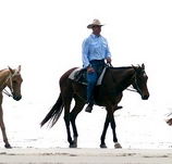 Ride the Beach - Northern Rivers Accommodation