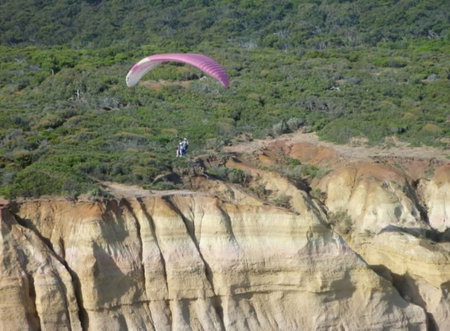 Airsports Adventure Flights - Northern Rivers Accommodation 2