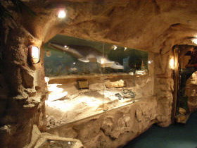 The National Opal Collection - Northern Rivers Accommodation 2