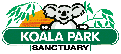 Koala Park Sanctuary - Northern Rivers Accommodation