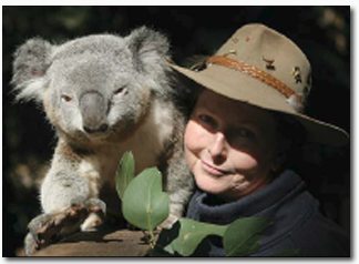 Koala Park Sanctuary - Northern Rivers Accommodation 2