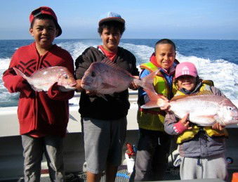 Melbourne Fishing Charters - Northern Rivers Accommodation 3