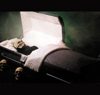 Coffin Ride - Northern Rivers Accommodation