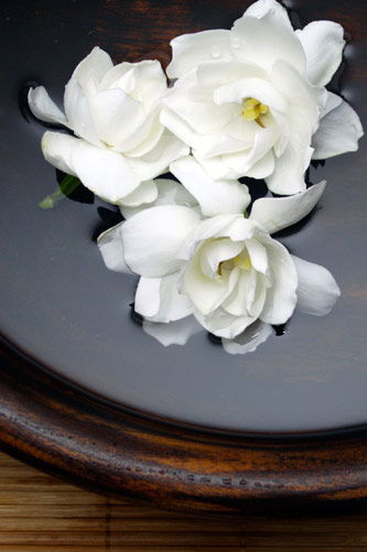 Temple Skincare - Northern Rivers Accommodation 2