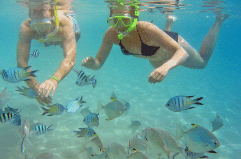 Australian Kayaking Adventures - Northern Rivers Accommodation 2
