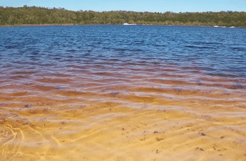 Beach Trekkers North Stradbroke Island - thumb 1